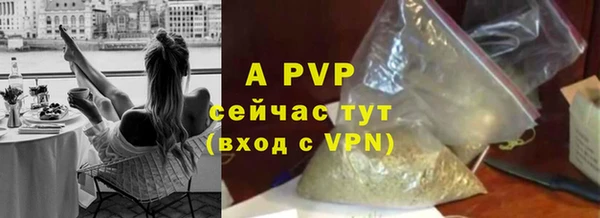скорость Щучье