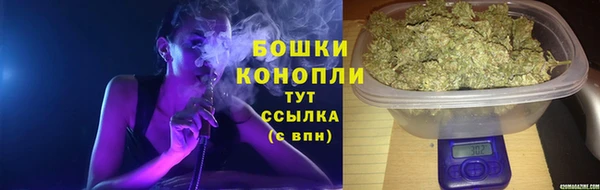 стаф Покачи