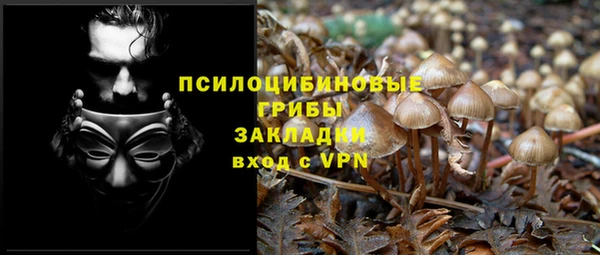 ECSTASY Покров