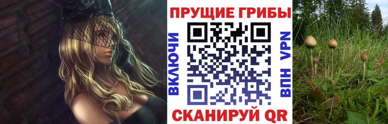 Галлюциногенные грибы MAGIC MUSHROOMS  Аркадак 